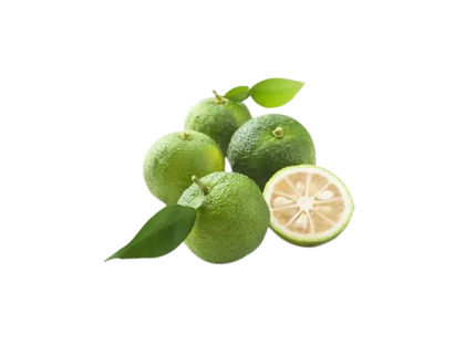 Yuzu (Summer Version) (1 piece)