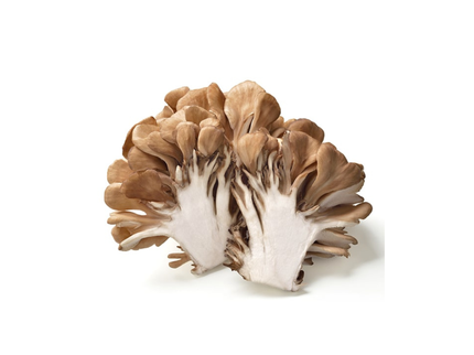 Maitake Mushrooms (1 Pack)