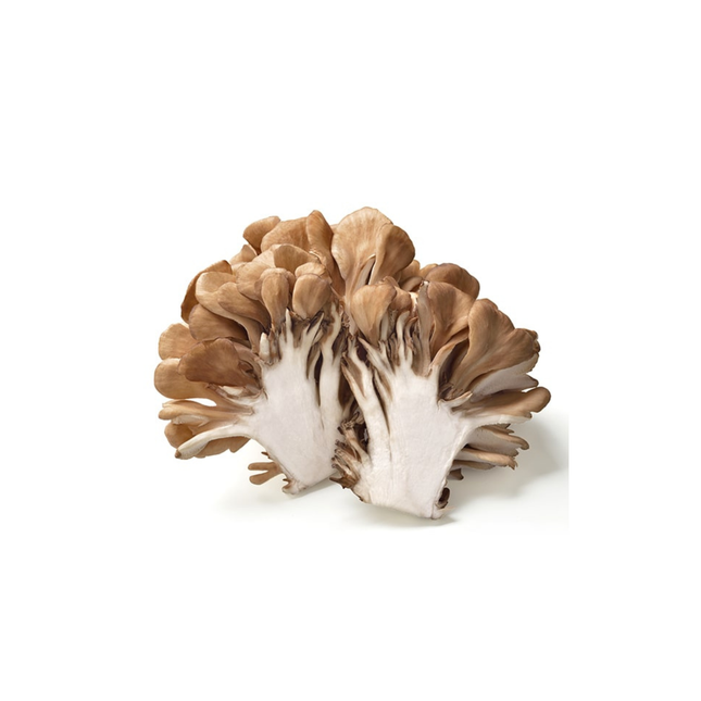 Maitake Mushrooms (1 Pack)