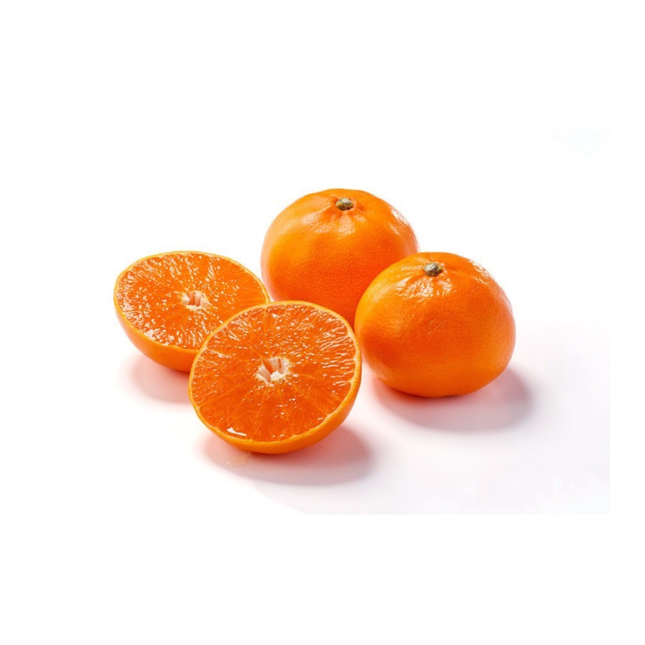 Setoka – Premium Japanese Citrus (1piece)