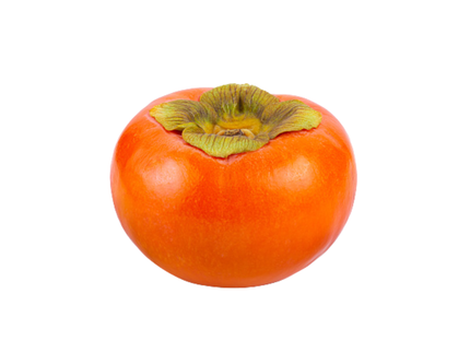Japanese Kaki Persimmon