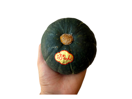 日本迷你南瓜
