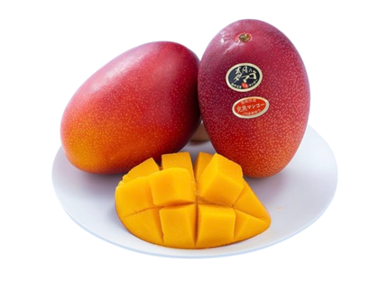 Taiyo no Tamago – Miyazaki Fully Ripe Mango (1 piece)