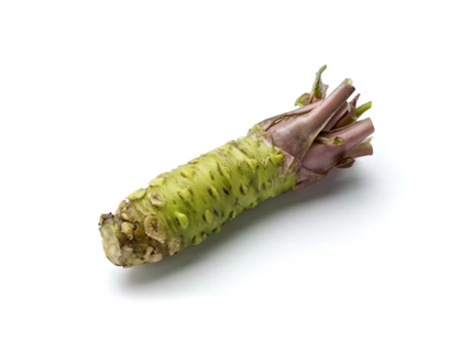 Wasabi (Small)