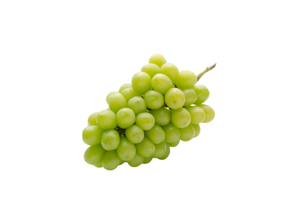 Shine Muscat