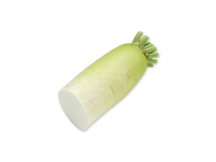 Daikon Radish (Half Size)