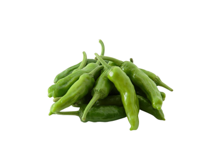 Shishito Pepper(1 pack)