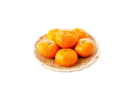 Gamagori Mandarin Oranges(1pc)