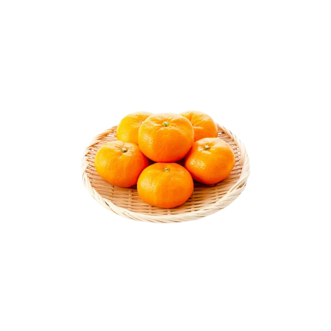 Gamagori Mandarin Oranges(1pc)
