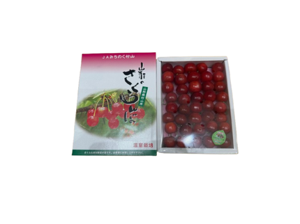 Sato Nishiki Cherries (1 Box)