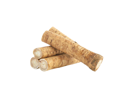 Gobo burdock (1piece)