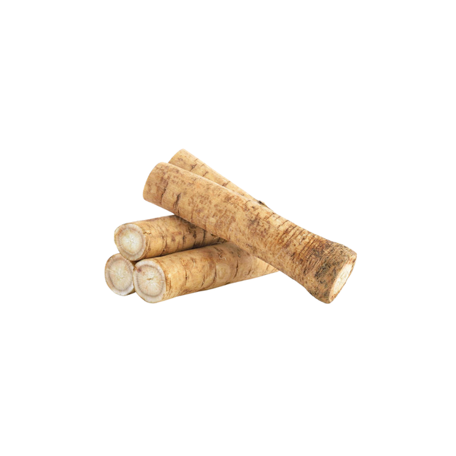Gobo burdock (1piece)