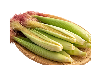 Young Corn (1piece)