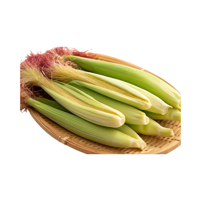 Young Corn (1piece)