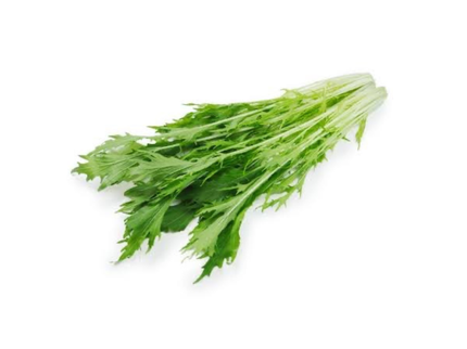 水菜
