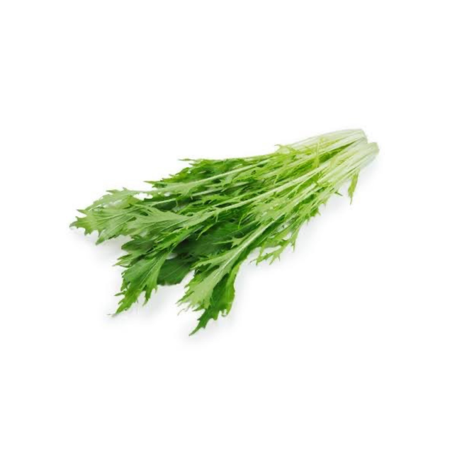 水菜