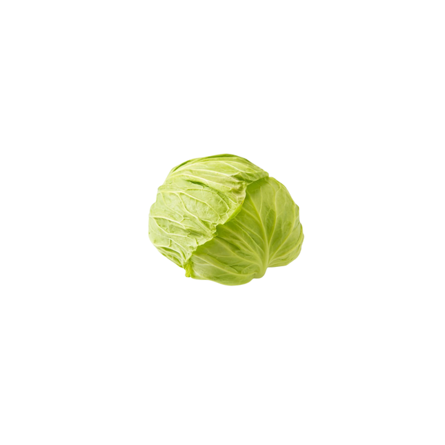 キャベツ