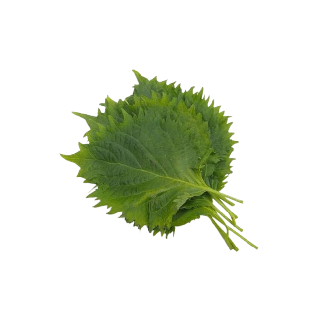 大葉