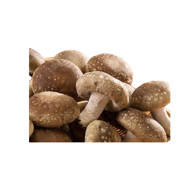 椎茸