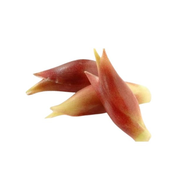 茗荷