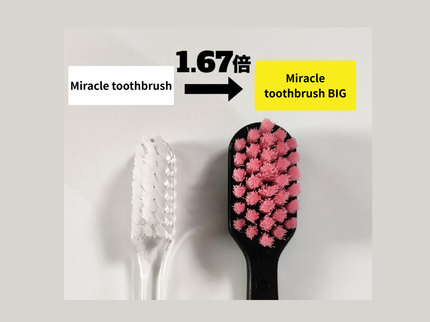 奇跡の歯ブラシBIG