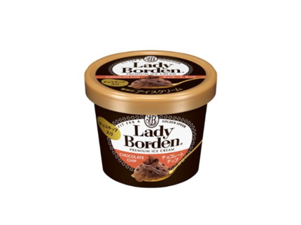 レディーボーデン ミニカップ チョコレートチップ