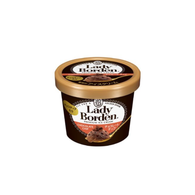 レディーボーデン ミニカップ チョコレートチップ