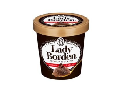 レディーボーデン パイント チョコレート