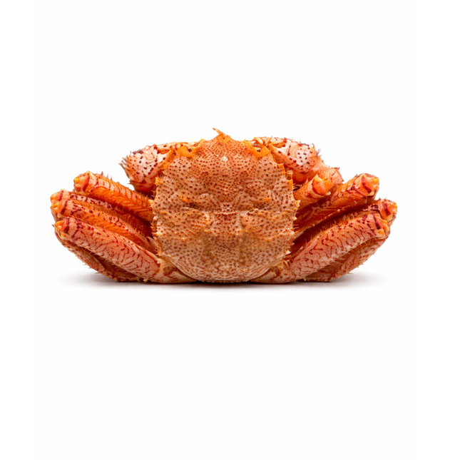 毛蟹